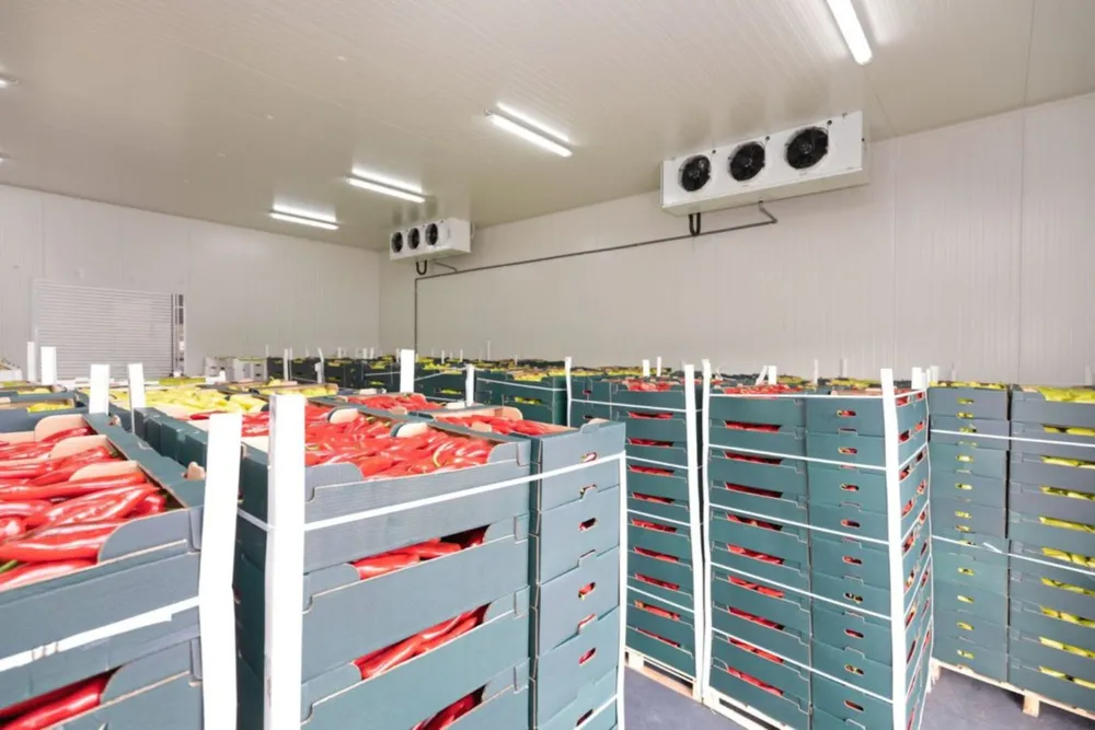crates of produce preserved in climate controlled storage